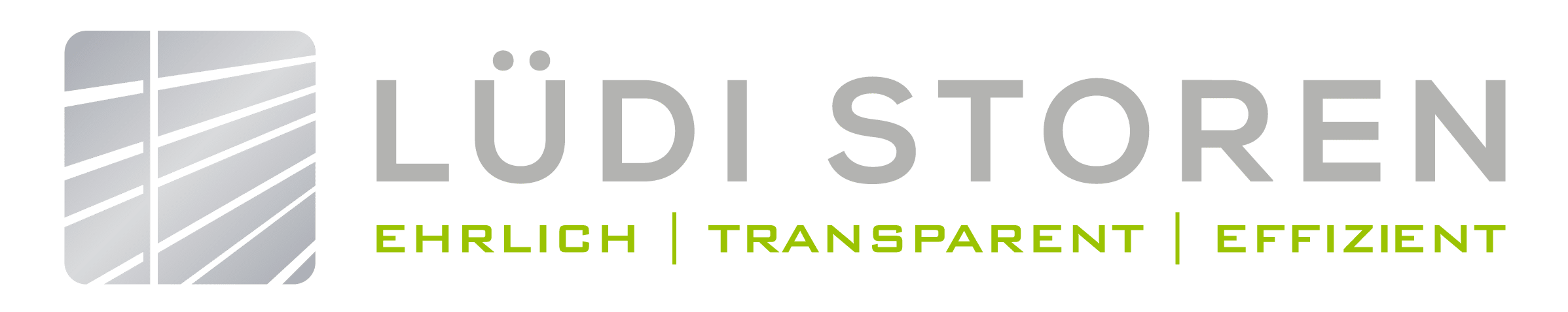 Zeigt das Logo der Lüdi Storen GmbH